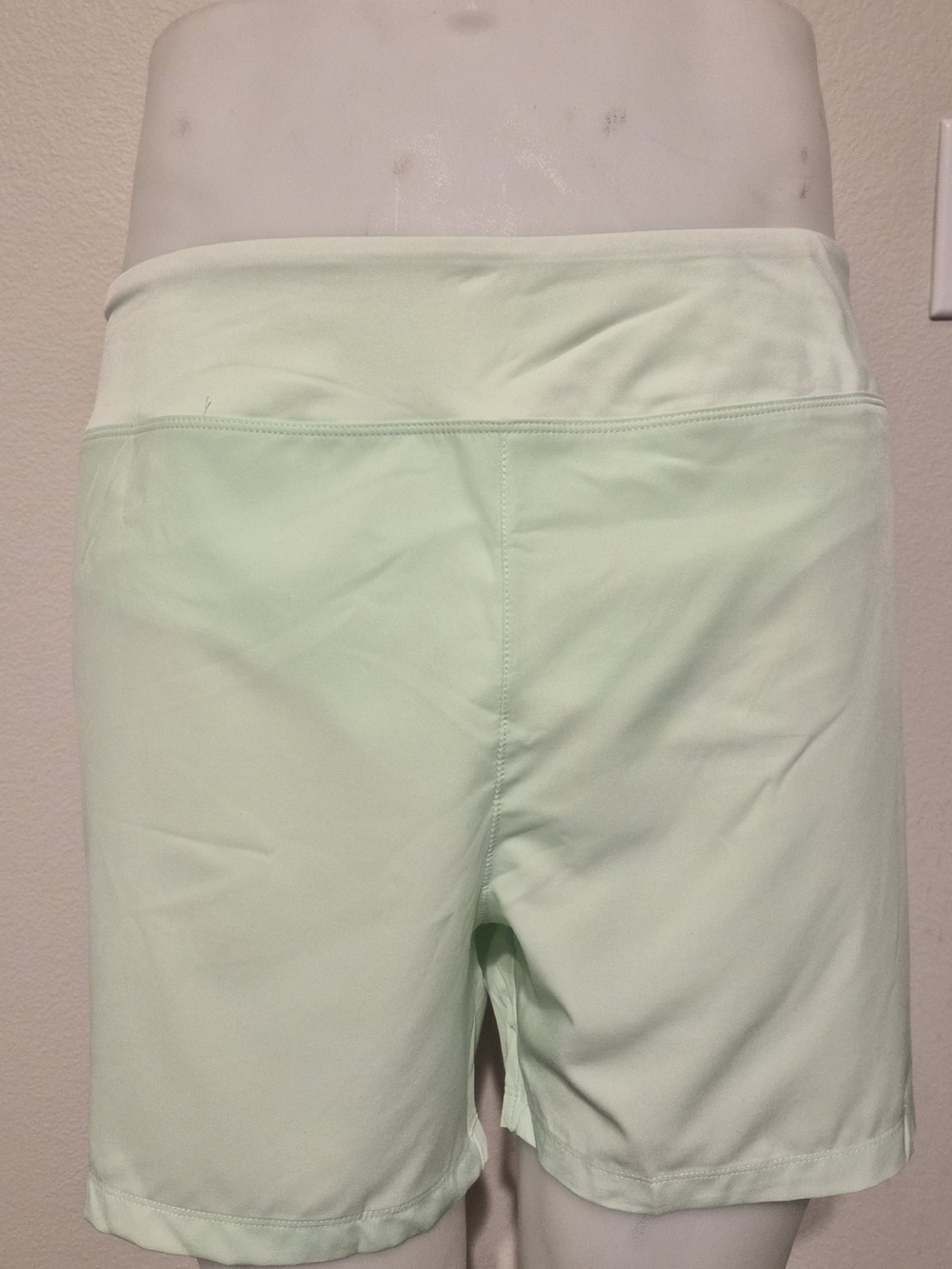 Champion Mint Green 5" Inseam Board Shorts NWT